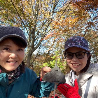 可愛いプレート