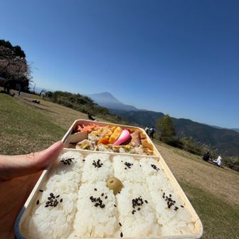 冷めてもおいしいごはんと有名なお弁当