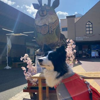 あっという間に
下山しました