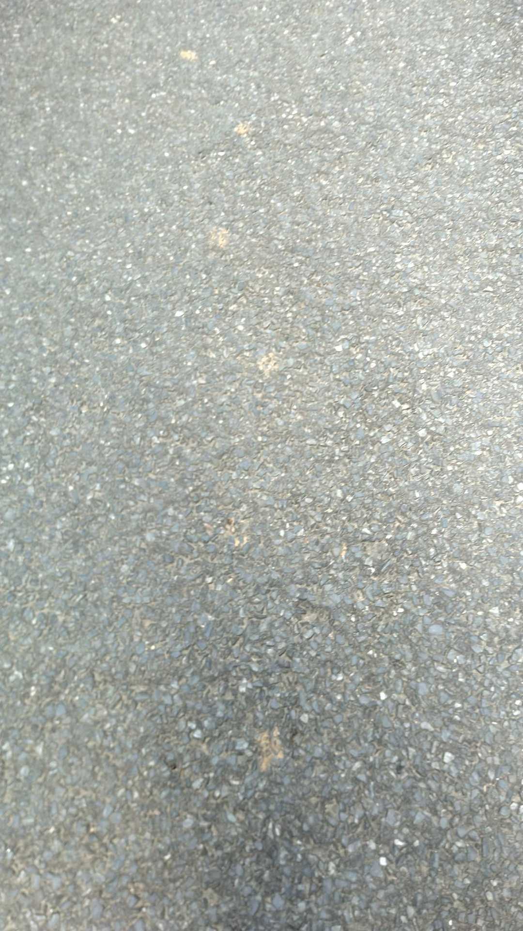道路にも足跡…🐾