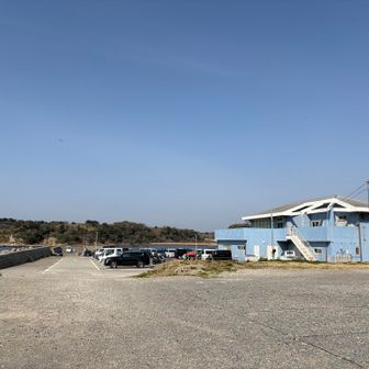 地魚料理 松輪はお刺身が美味しい