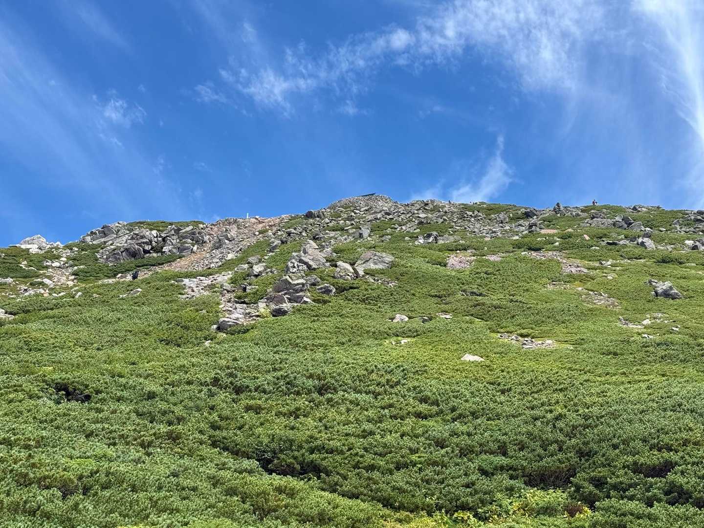 青空、最高！