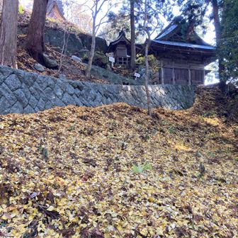 本殿側へ戻る
銀杏の匂い