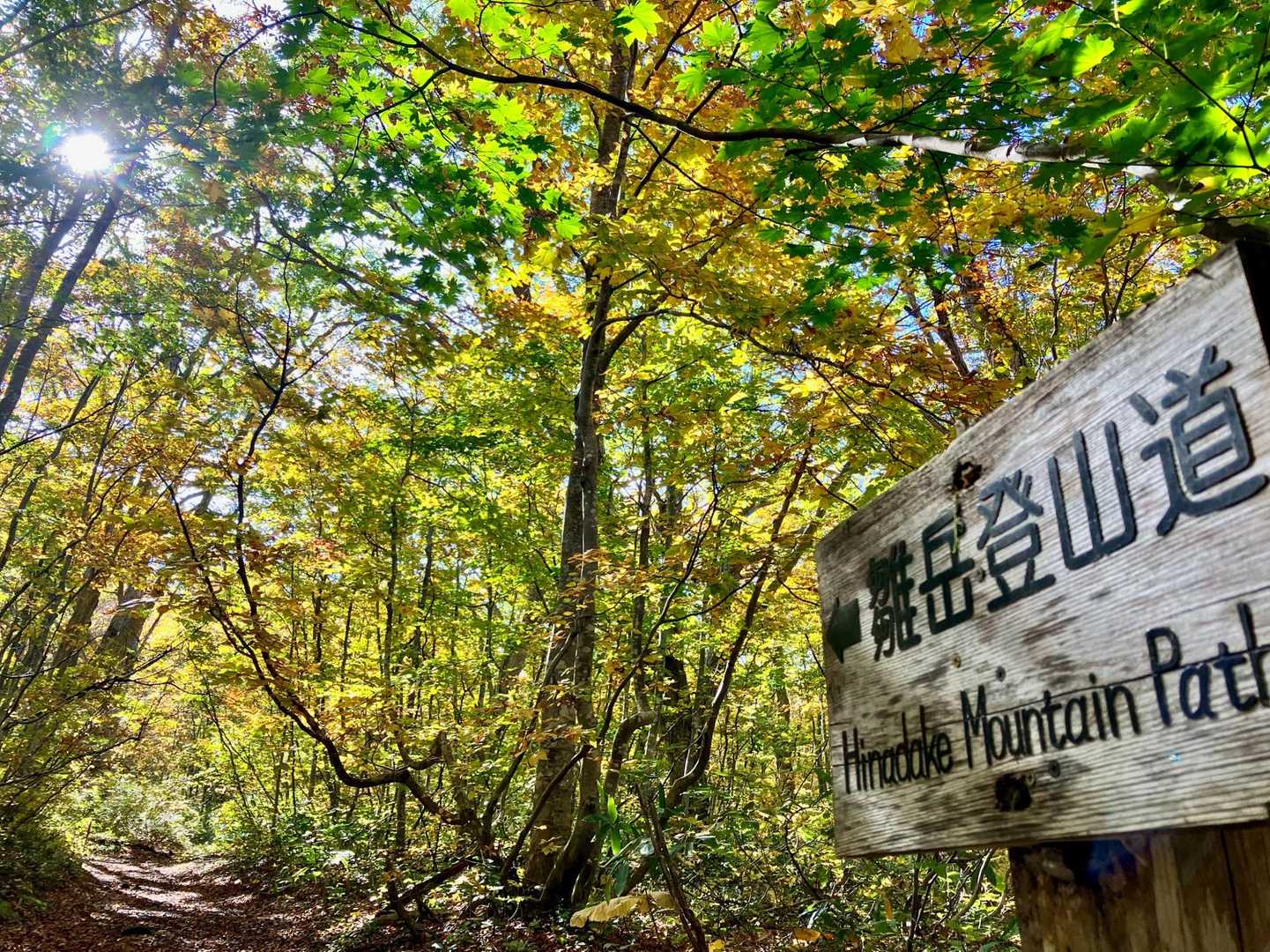 ブナの山、雛岳歩きスタートです。
日没まで間に合うよう歩きます。