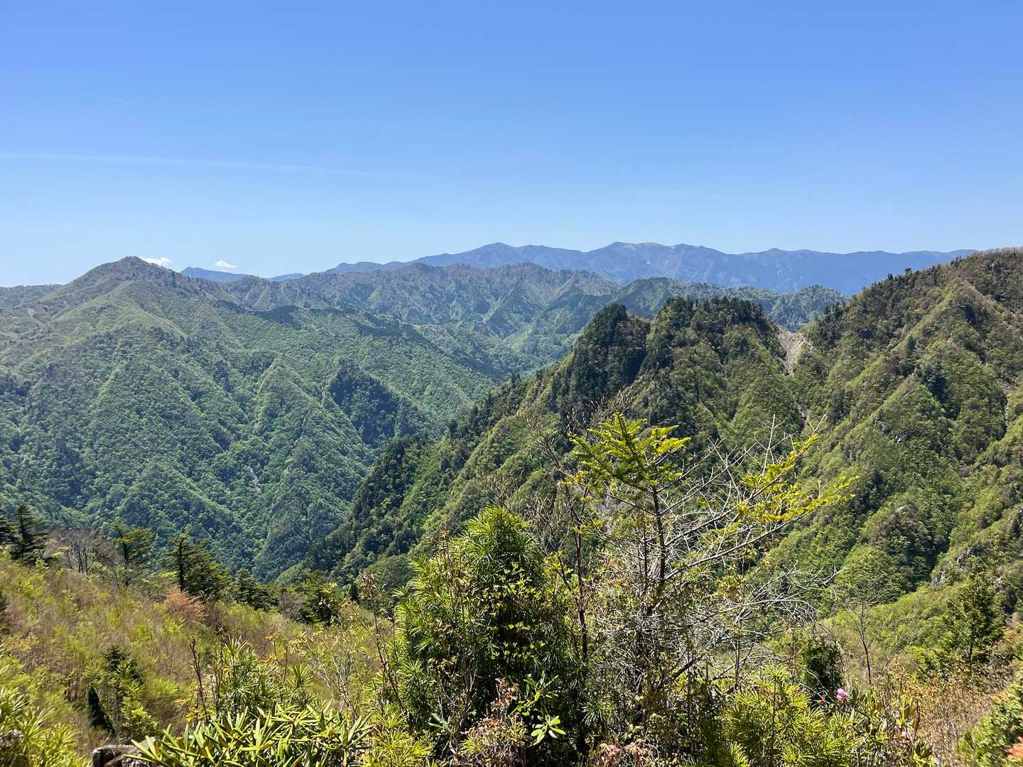 山深い⛰️⛰️