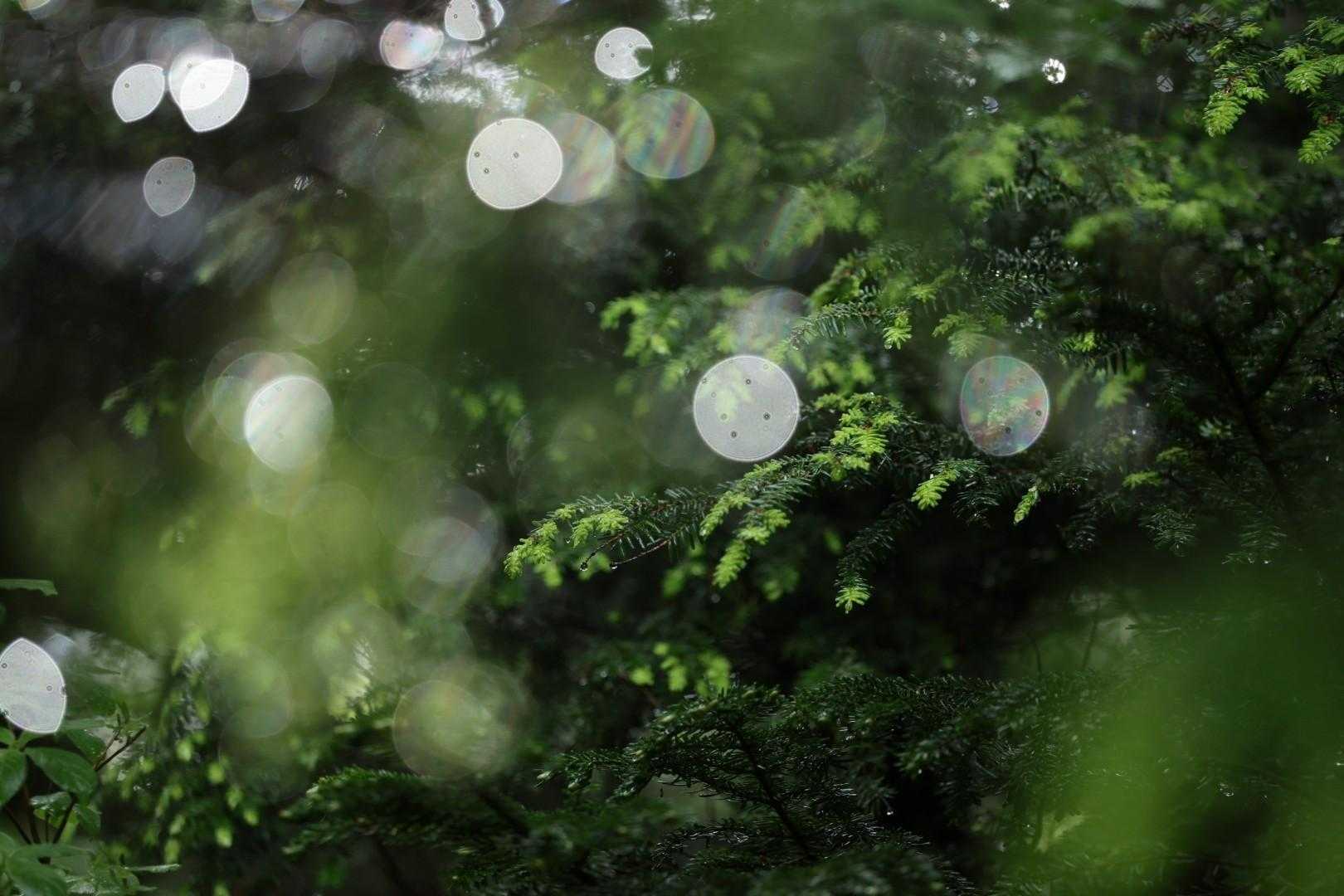風吹岳（風吹登山口）の写真