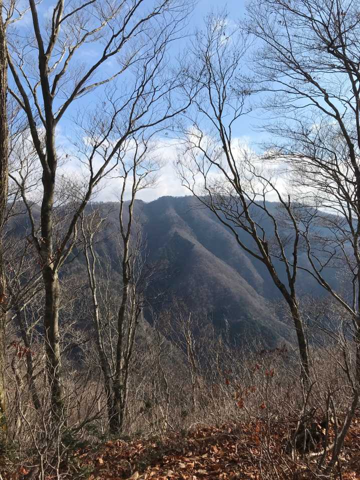 山頂からの眺望は無いですね。葉っぱが落ちて、何とか見えました。