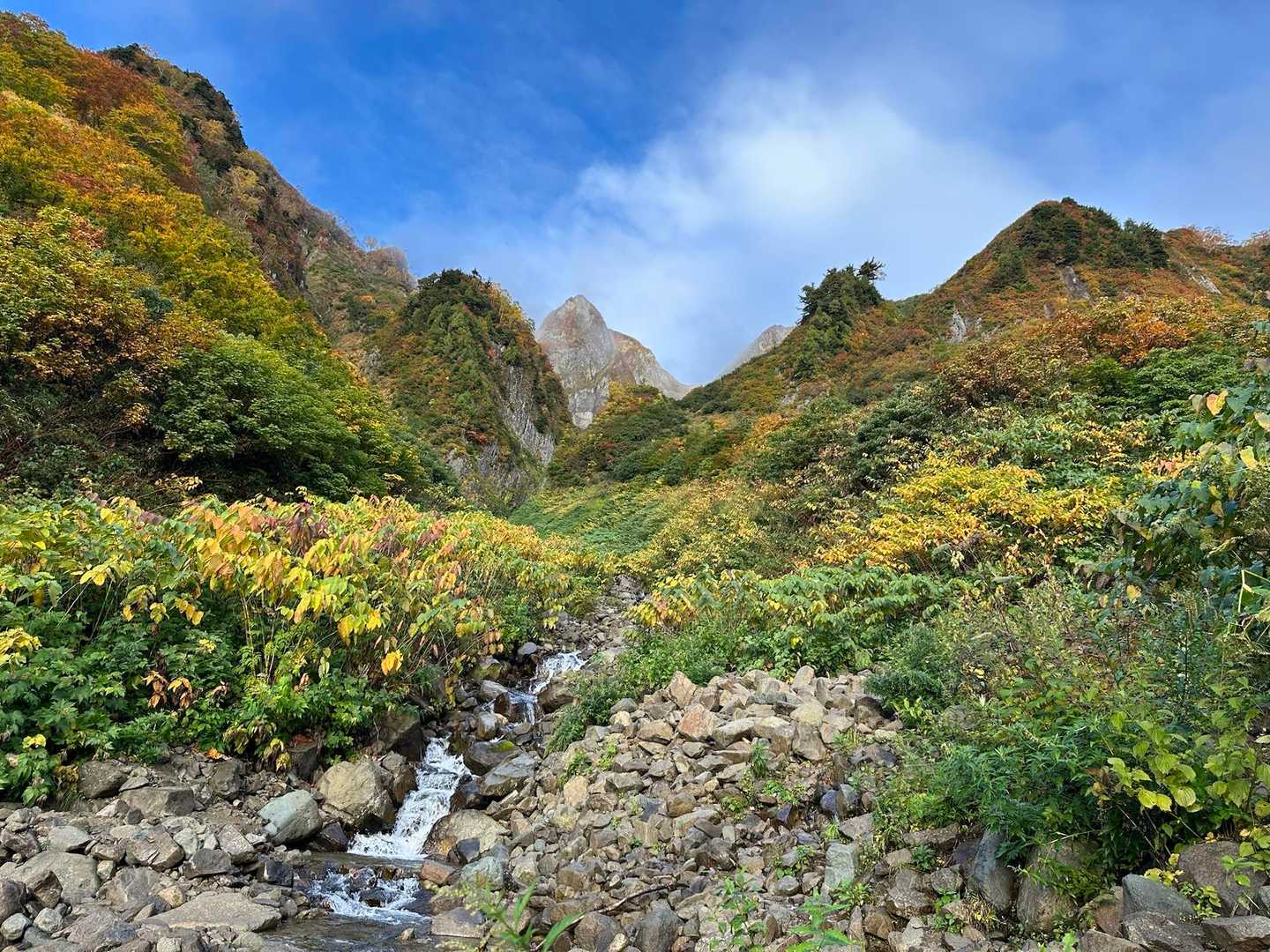 雨飾山 往復 | 急登を越え圧巻の迫力の岩峰群と稜線上の楽園を愛でるの写真