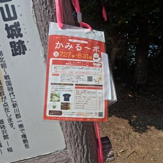 ふむふむ、、