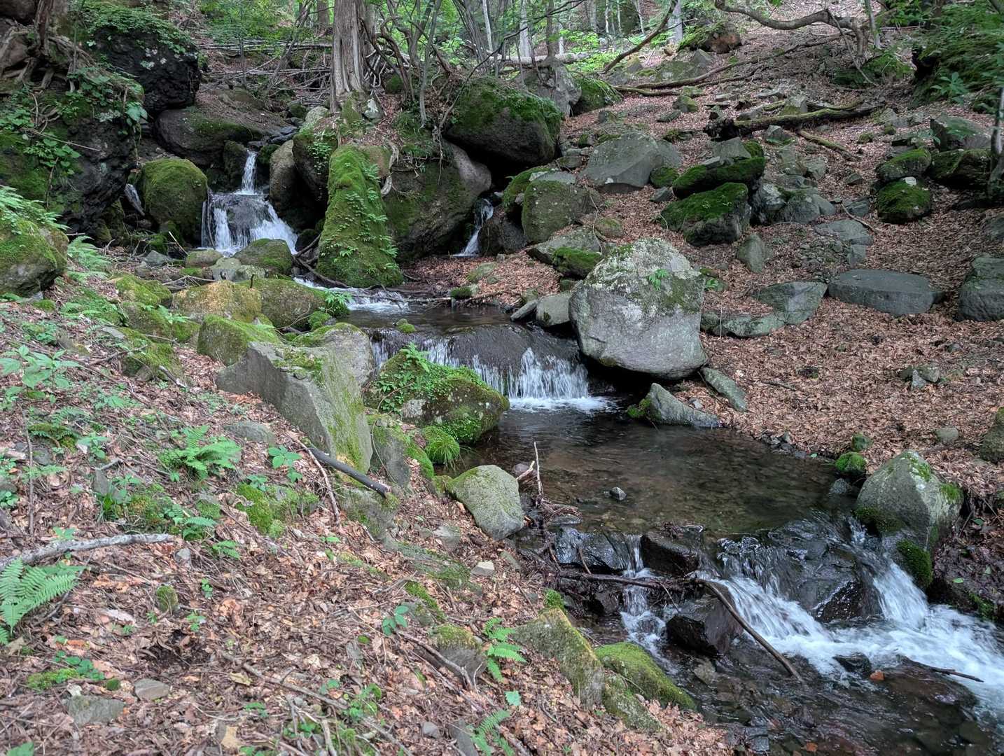 皇海山登山口-庚申山-駒掛山-薬師岳-鋸山-皇海山 往復コースの写真