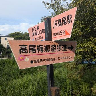 稲荷山を下り、高尾梅郷遊歩道を水平移動