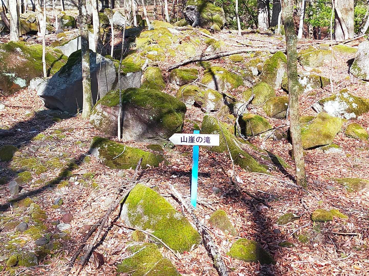 篭山 周回コースの写真