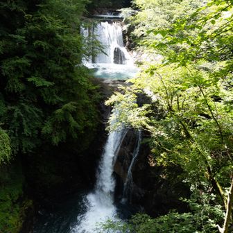 七ツ釜五段の滝
ホント次から次へとすんごい滝をたくさん見れます✨️