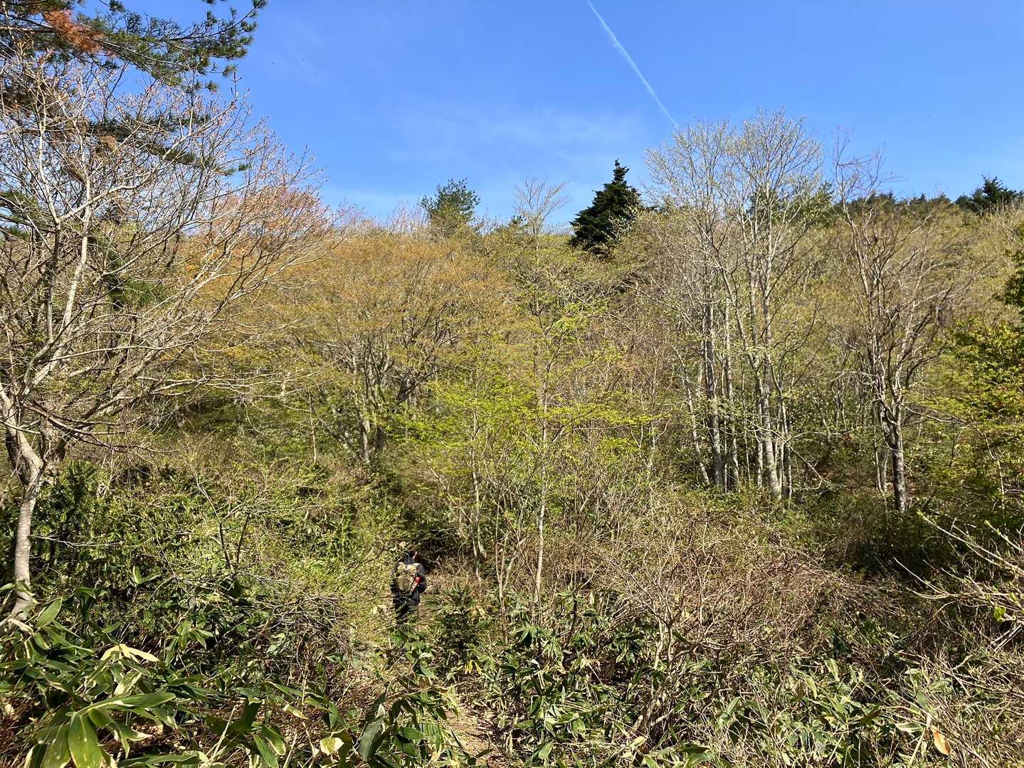 山頂方面　登り続きで暑いです😵