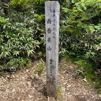 山頂
