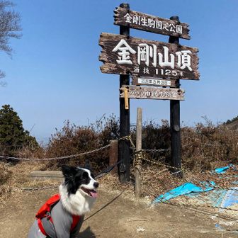 ハイ、チーズ🧀