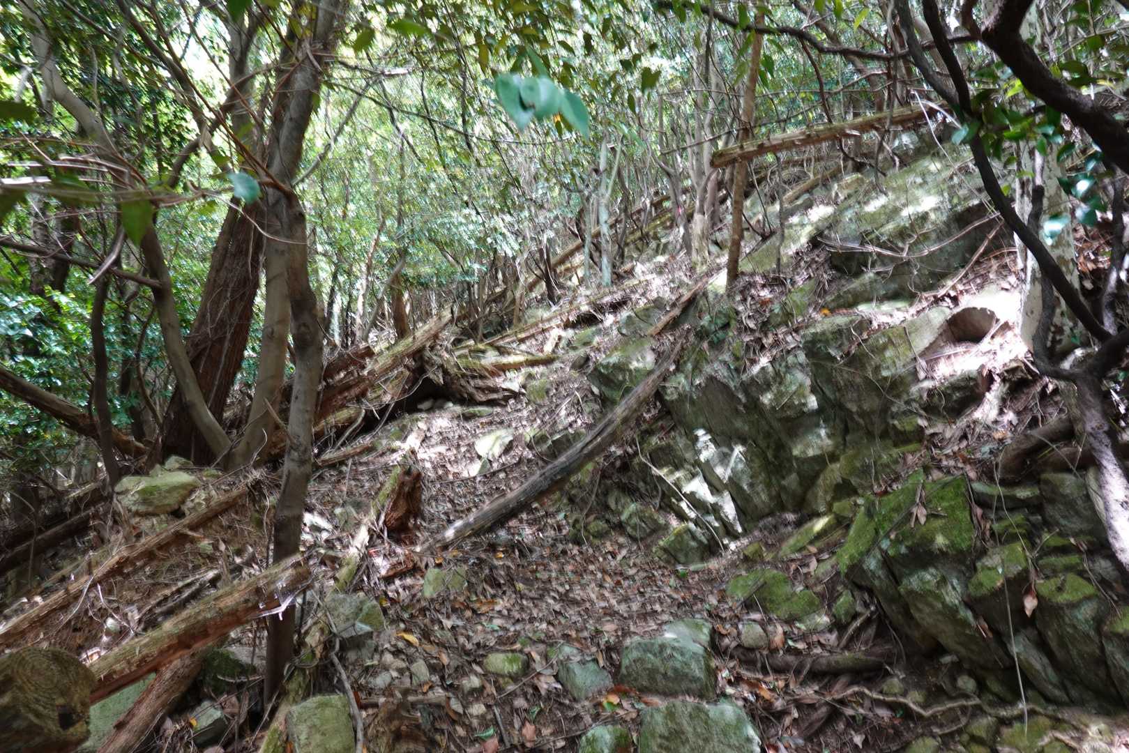 登山道は荒れてました。