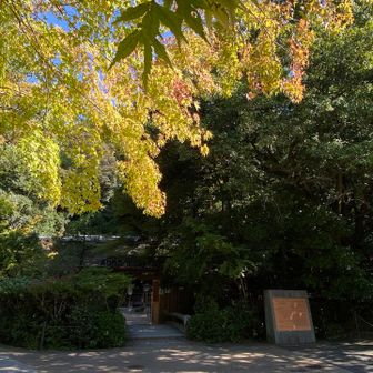 紅葉はまだまだ