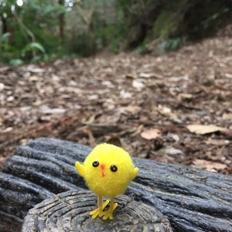 まみんこ@skyroom