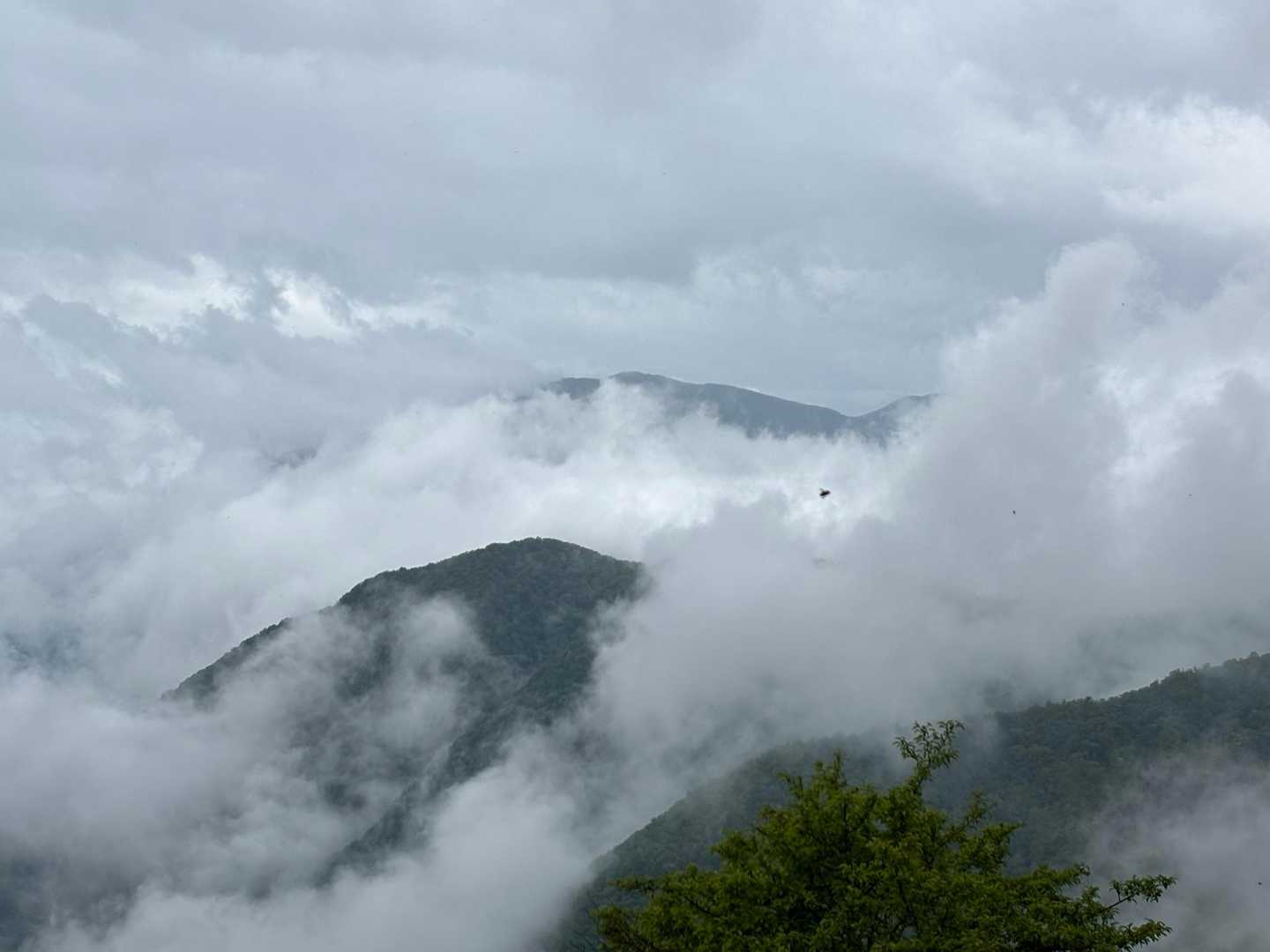 あれは櫛形山かな