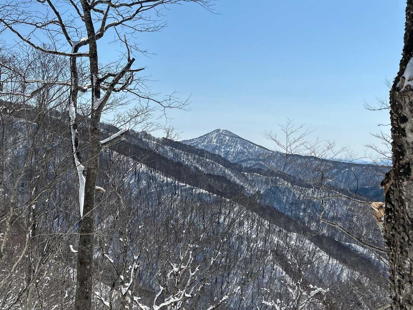 戸来岳もバッチリ