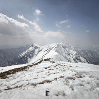 谷川岳（オキの耳標高1977mの森林限界は1500m付近と言われてます。
例を出すと甲斐駒ヶ岳2967mの森林限界は2600m前後それだけこの地域の気象条件は厳しいと言う事ですね🧐