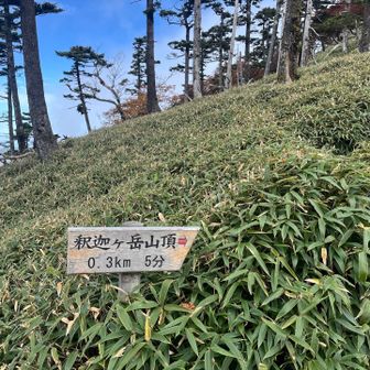 コースタイムではあと10分なんですが
天狗かな？