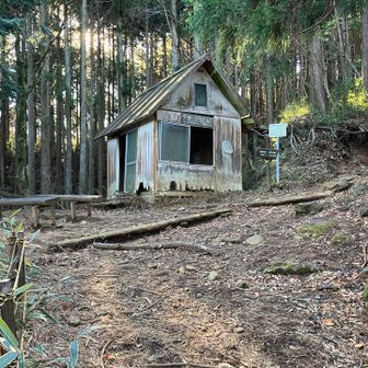 見晴小屋は相変わらずボロボロ
雨は凌げるがここで停滞するより降ってしまったほうが良いと思われる
少し休憩して先へ