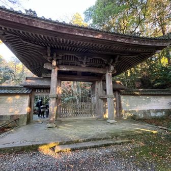下りてきたとこは龍潭寺というお寺。