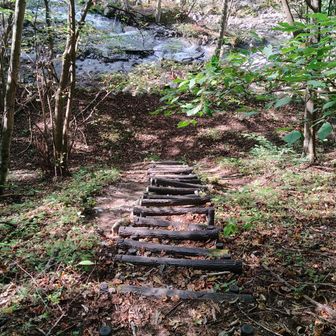 悩みましたが、沢への階段を降ります