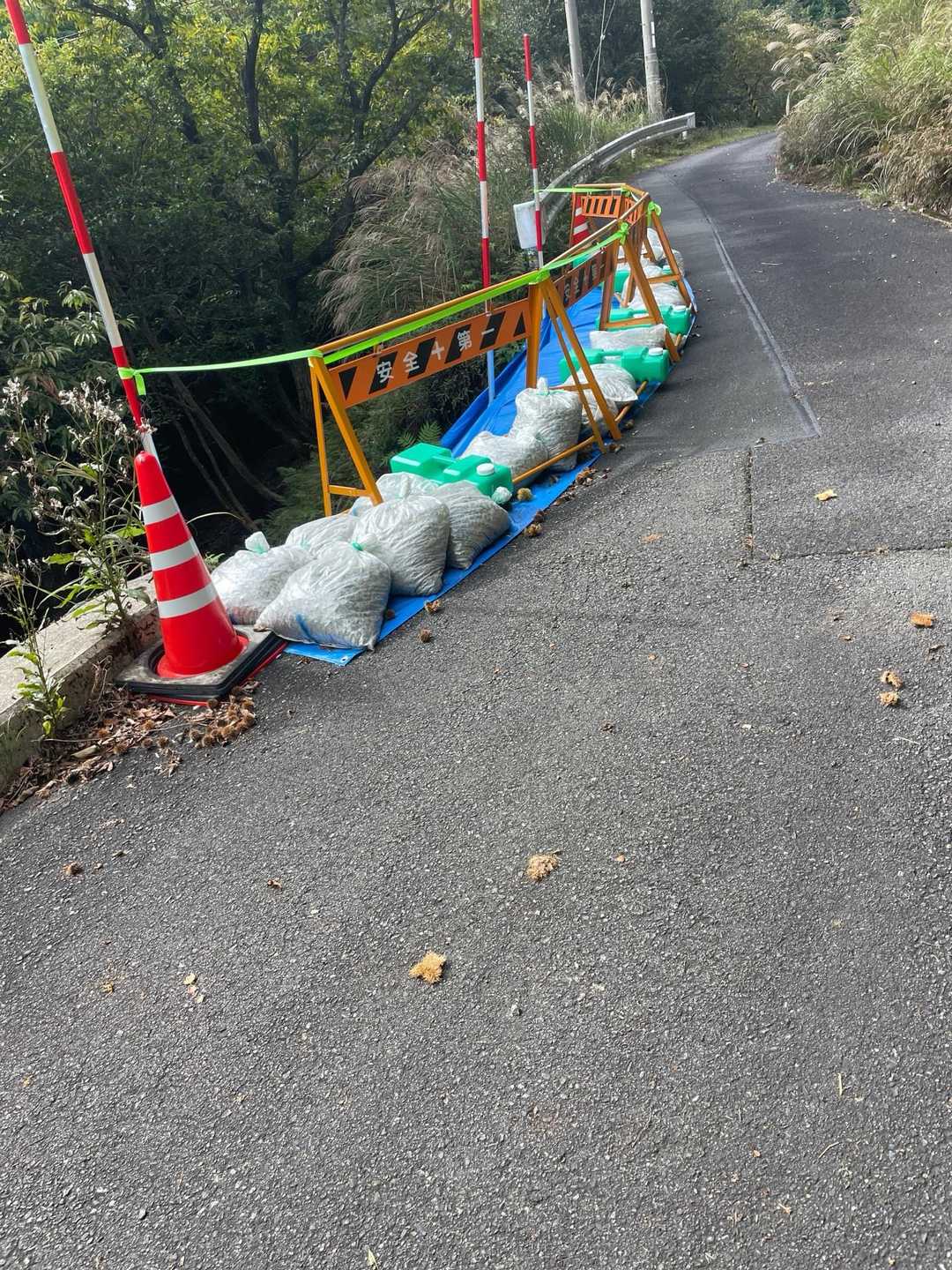 崩れている所も😰