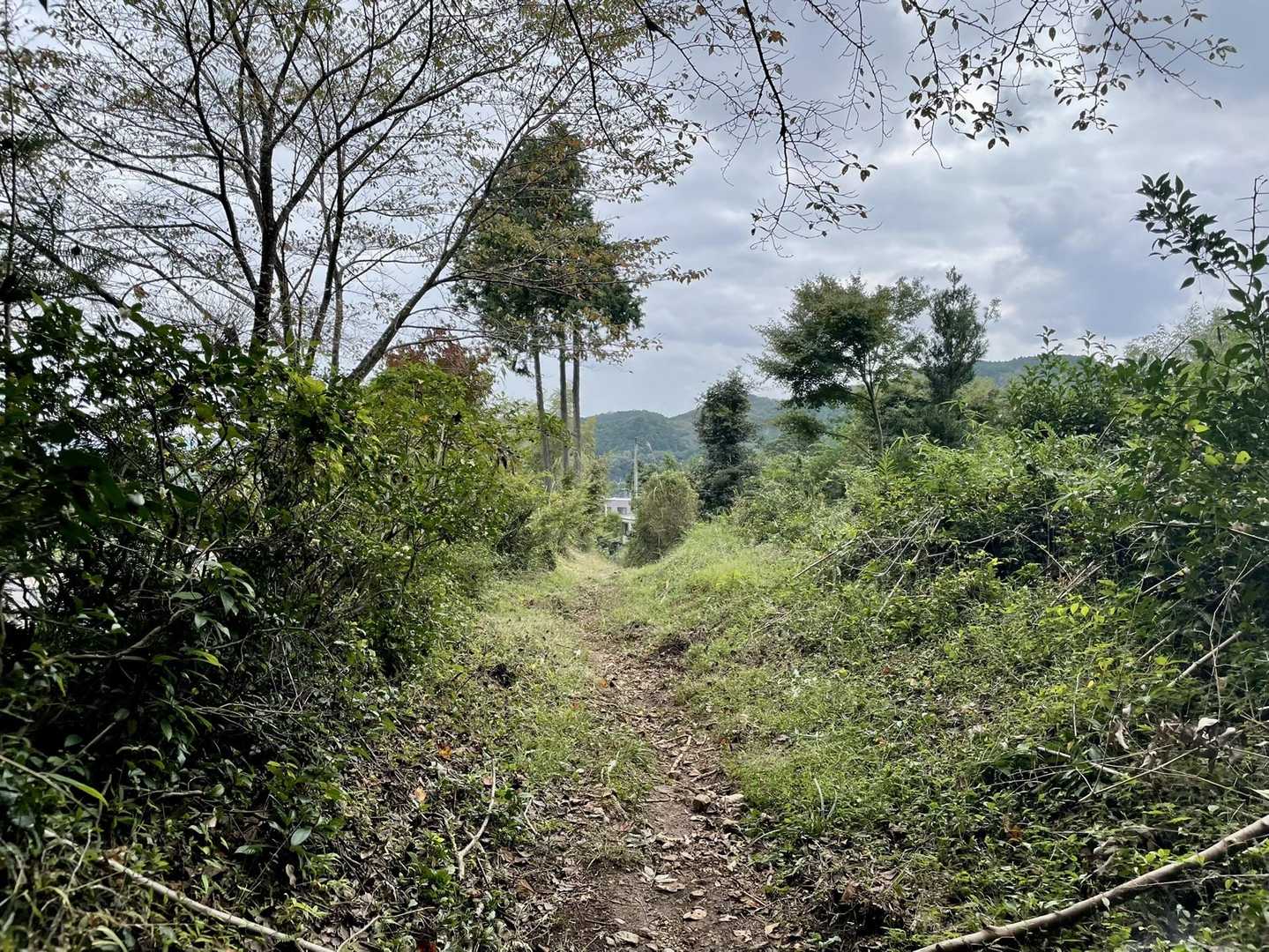 出口に出てきました。ちょっと荒れてるところもあって雨の日は川底みたいな道ですけど今日は問題なしです👌