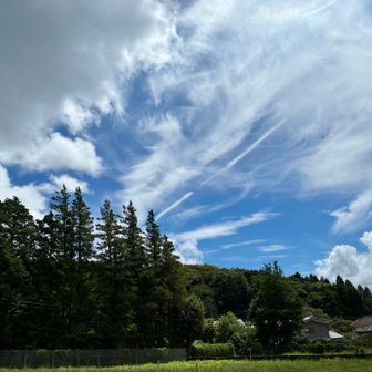 まだ歩けるし、名残惜しいけど下山。
また次の楽しみに。