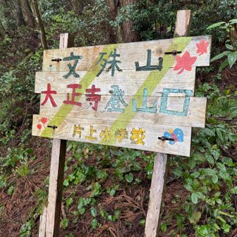 可愛い案内板😍