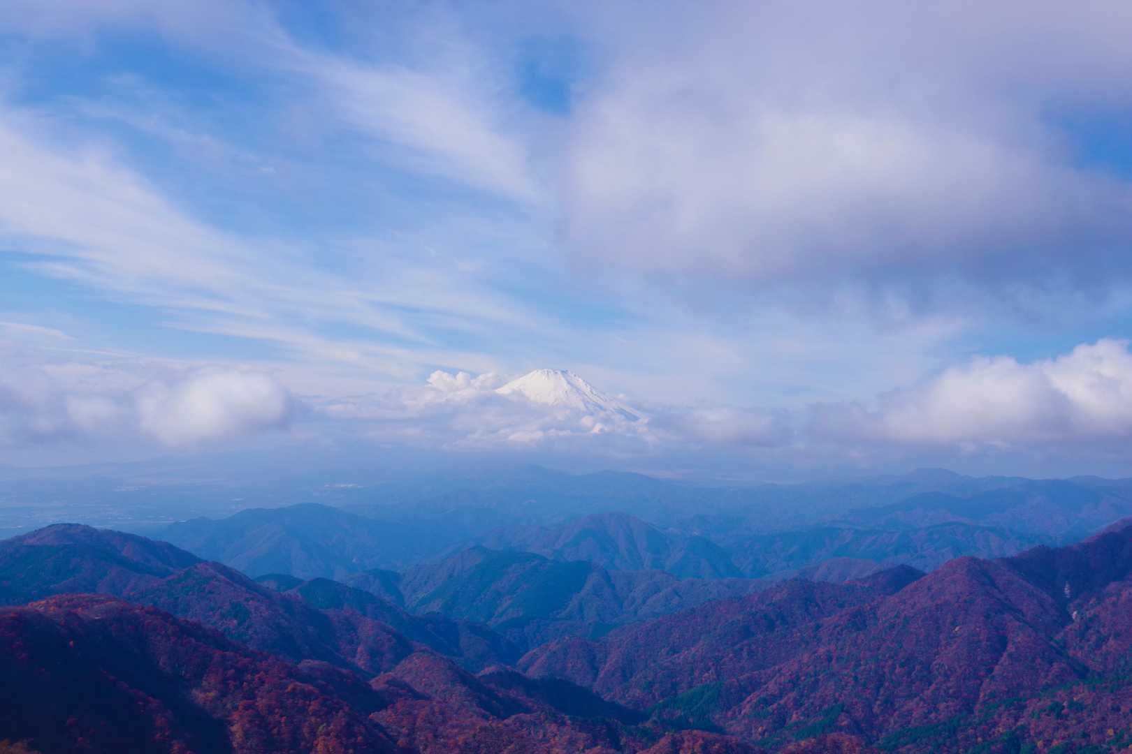 大倉バス停-堀山-塔ノ岳-日高-竜ヶ馬場-丹沢山-小丸-鍋 周回コースの写真