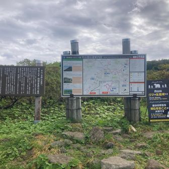 熊鈴忘れずに！🐻