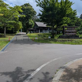 お宿のお迎えは14:30以降。
なので登山口からは歩いて帰ります。下り坂だし🚶