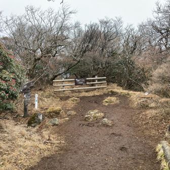 山頂は小さめで大涌谷方面は規制中で入れません⚠️