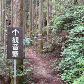 では