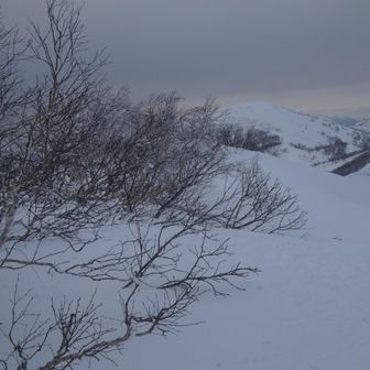この辺りが山頂かな🙌
景色もないので戻ります🙋