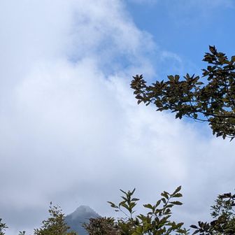 神坐山から釈迦ヶ岳の頂上が見えました。手を伸ばして撮影。