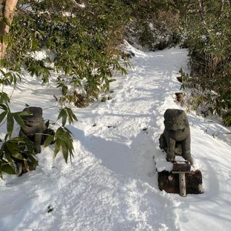 こまちゃんも、まだ見える