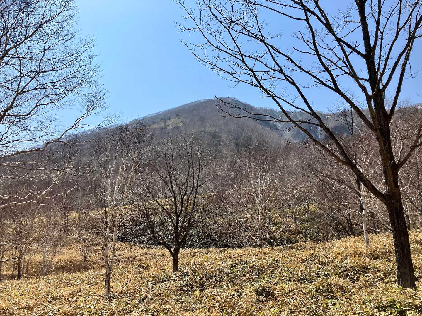 東ヌプカウシヌプリの
南面は雪がないです
一気に春の装いですね♪♪

終始
足元を確認しながら
ゆっくりと歩いてきました✋
下山時も途中からは
ほぼ半袖の出で立ち 笑

連休
中日の有給休暇を
満喫させてもらいました♬

GWと来週末は
山に行けないので
しっかりと
活力チャージができた
良き山行でした✌️

(*ˊ˘ˋ*)｡♪:*°ﾖｳﾔｸｷﾝﾆｸﾂｳｶﾞﾅｵｯﾃｷﾀﾖ