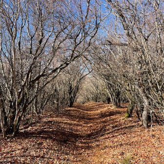ふかふかロード
ほんとに気持ちいい道ばかり