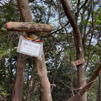 山頂銘板も有りました🎵