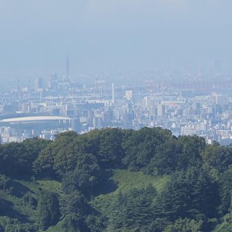 大阪ドーム？