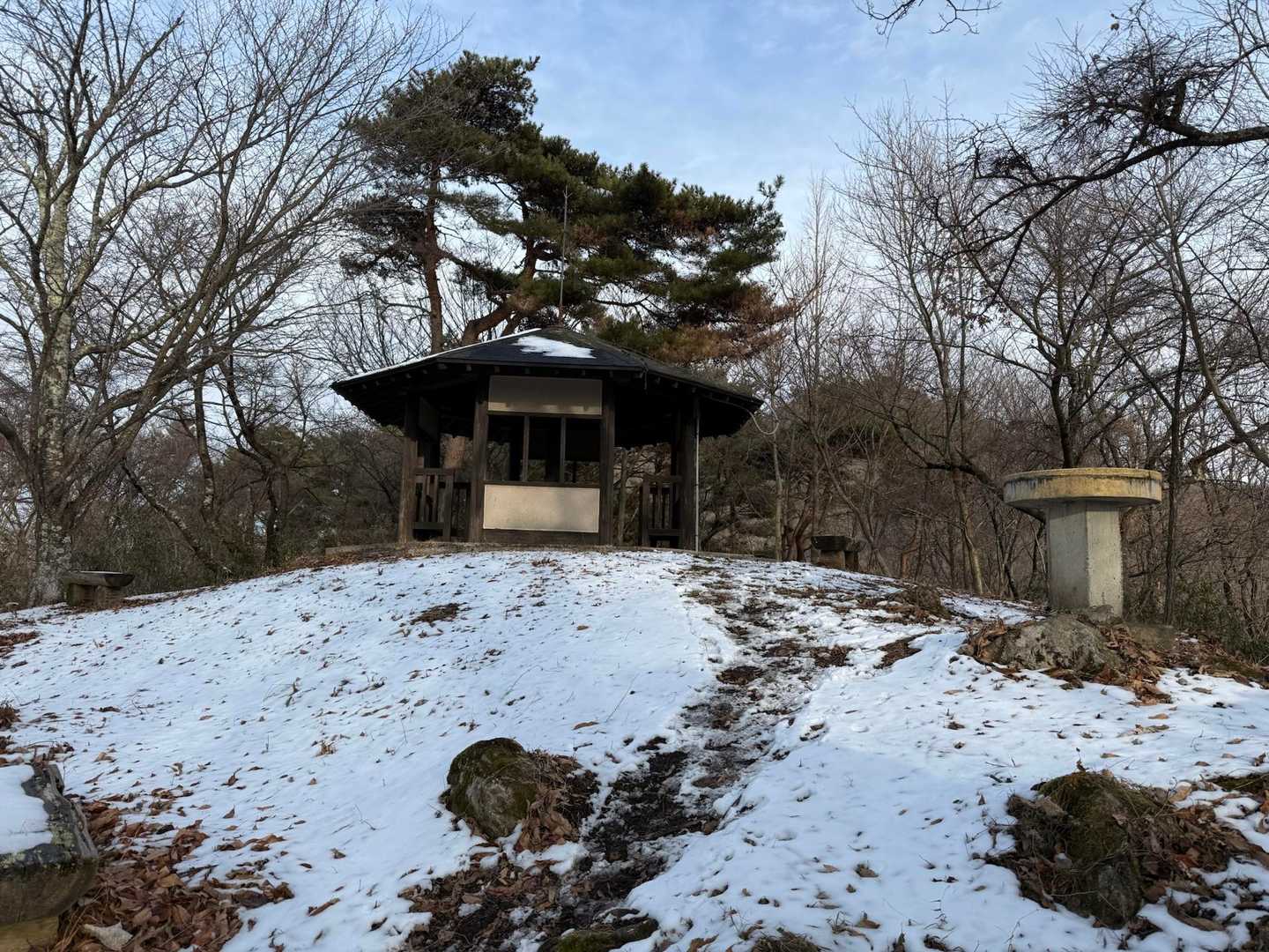 西音森山に到着😆