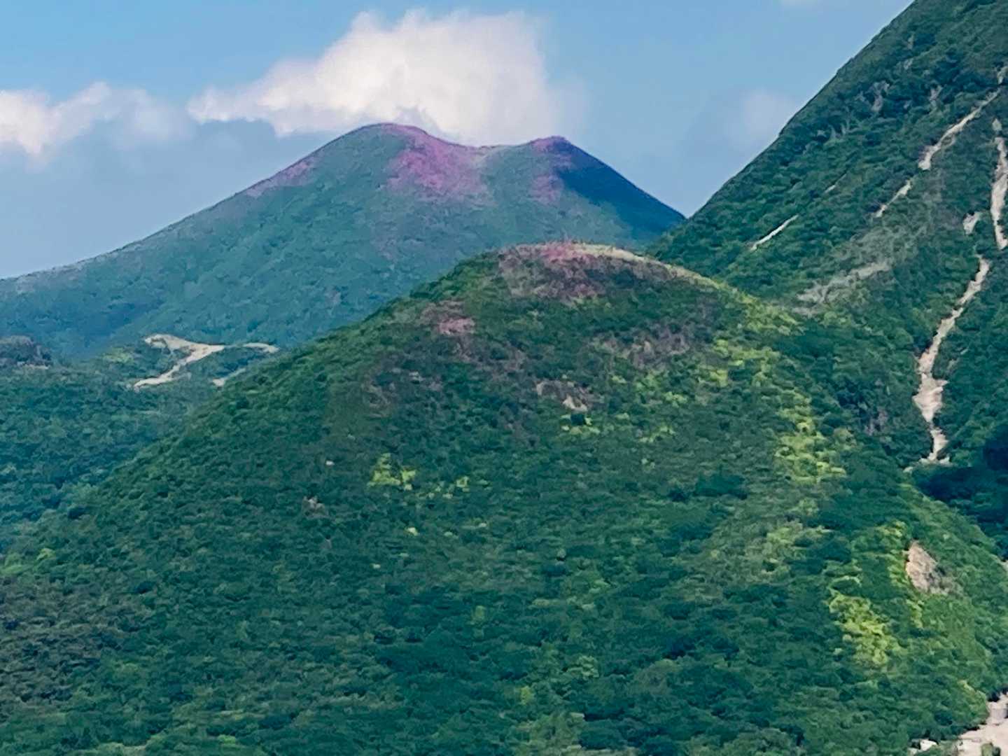 平治岳もピークみたい、今年は間に合わなそう