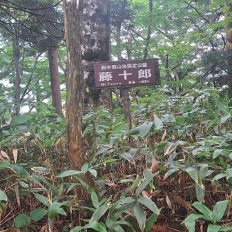 初の藤十郎