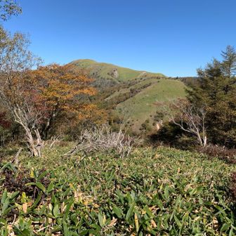 和田山北峰からの景色です。